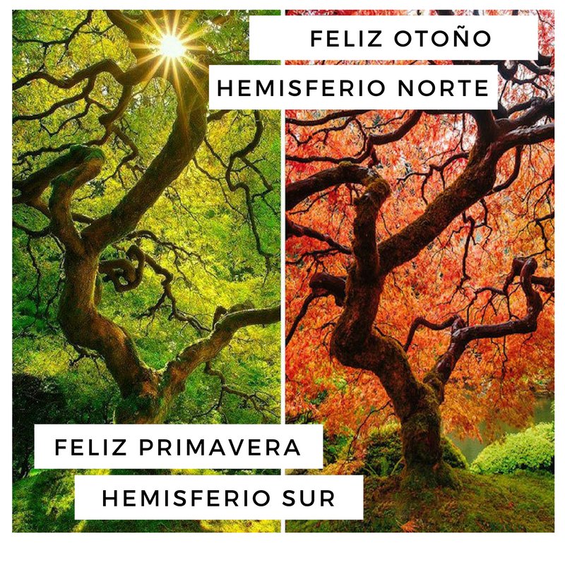 Resultado de imagen de primavera en el hemisferio sur