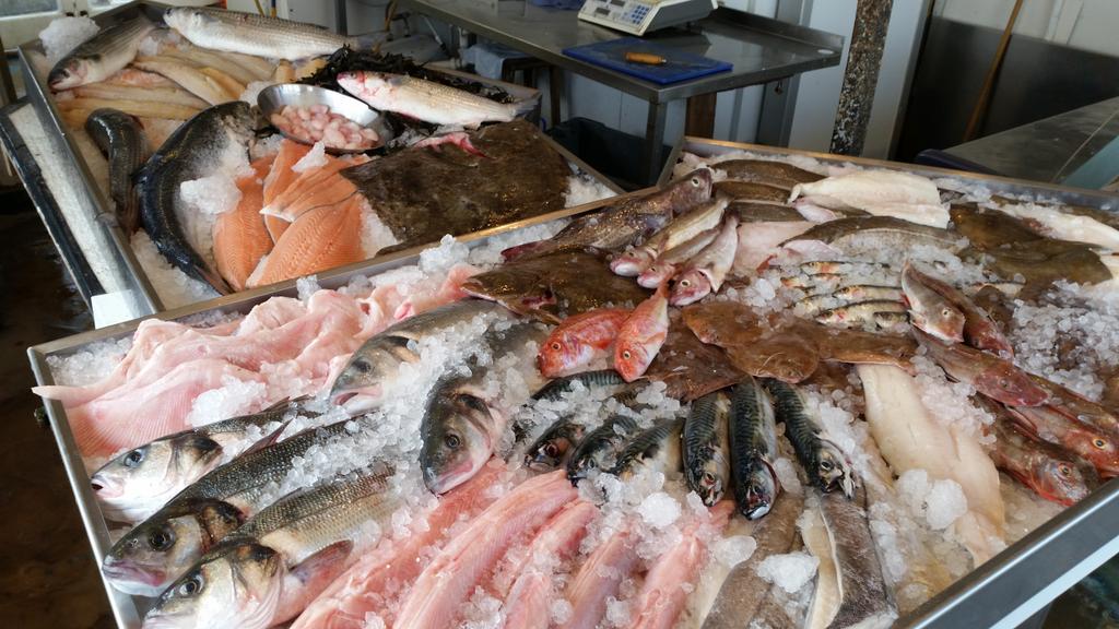 mackerel_boy's tweet photo. Great to see such a variety off our coastline.. #buylocal #supportlocalfisherman #felixstoweferry https://t.co/MliNazMZdU