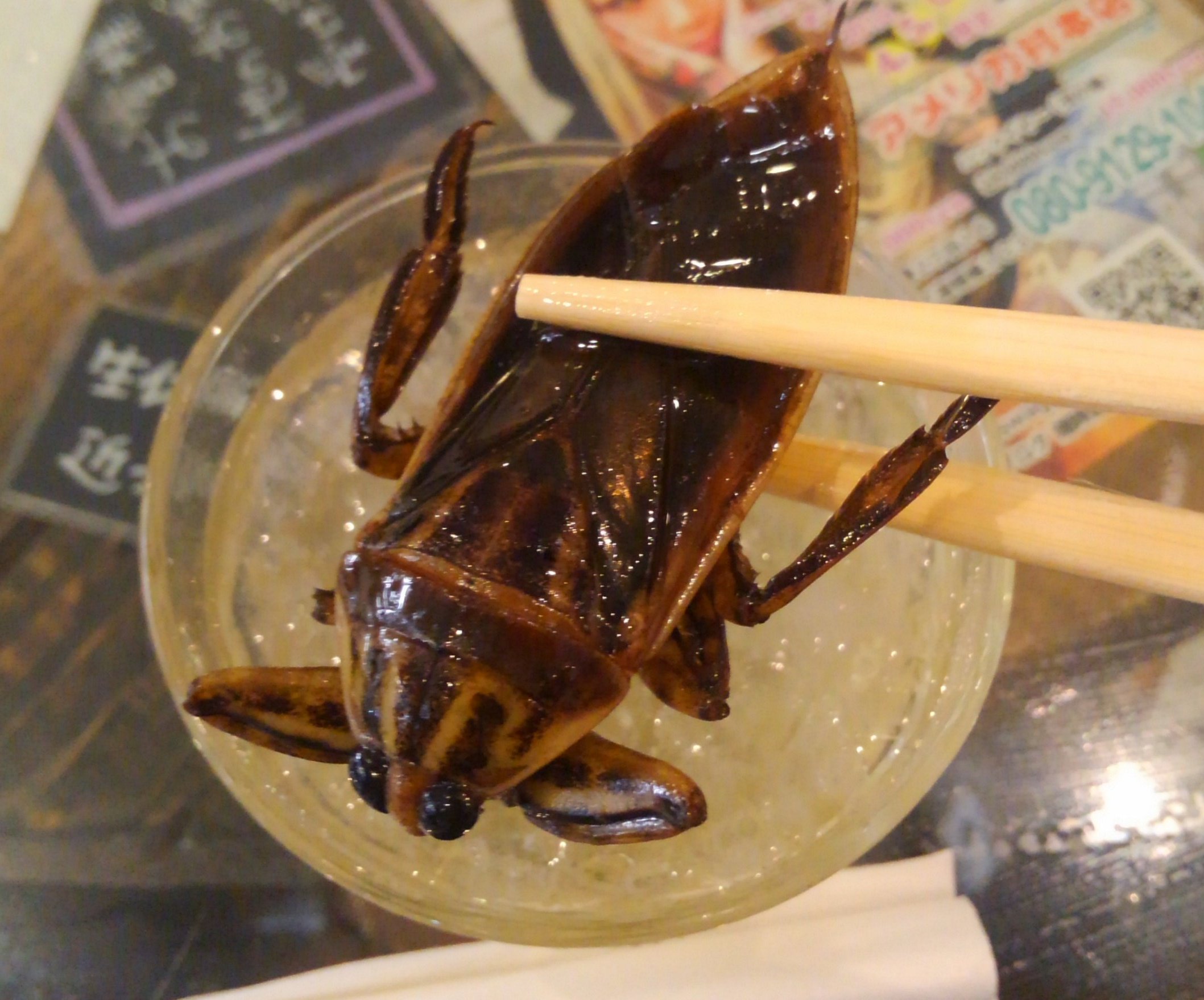 からめん 爬虫類カフェに行くたび毎回ゲテモノ料理を試してみてるんだけど 前回タガメ酒頼んだやつ め タガメ酒お願いします 店員さん タガメ入れますか め なしで 店員さん ええ 普通入れるでしょ ほらほら め えwwじゃあ入れてください