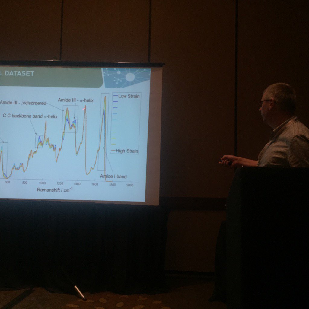 profnickstone's tweet photo. @PPudney presenting his work on Raman analysis of hair in @clirspec session of #SciX2016 https://t.co/CjE1559Lrc