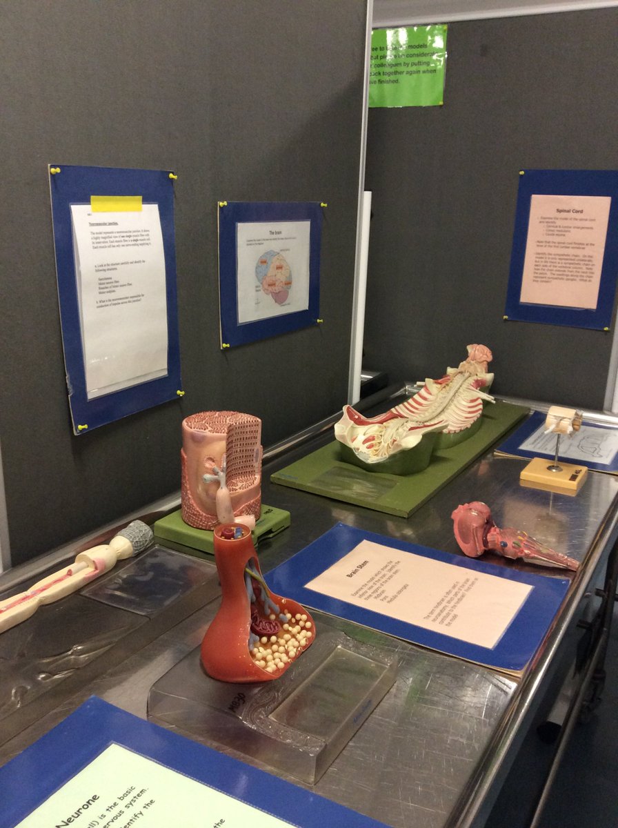 TecStopford's tweet photo. Welcome to all the new 1st year students! 1st year Medics your Anatomy Resource Area is ready to view in the Dissecting Room.
@UoM_Medicine https://t.co/5cCJ5atAeV