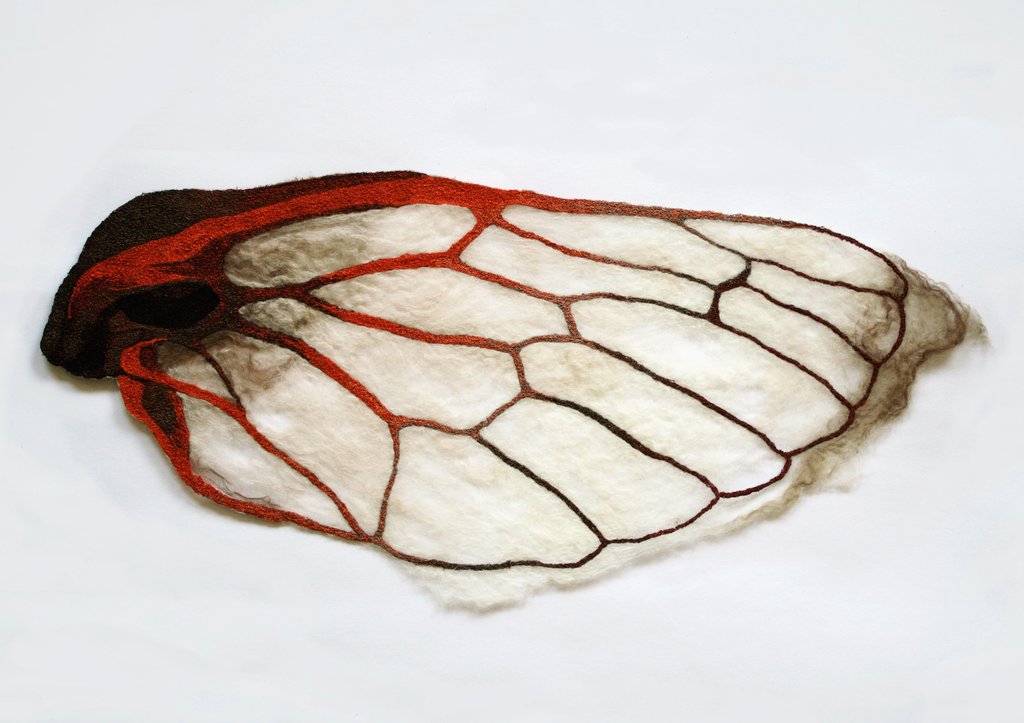 JodieGrift's tweet photo. Another #embroidery and #woolfelt piece to come with me to #Kaalstaart #Amersfoort (15/16 oct). #insect #insectwing #veins #zoology #art https://t.co/G6Dvfe6nCr