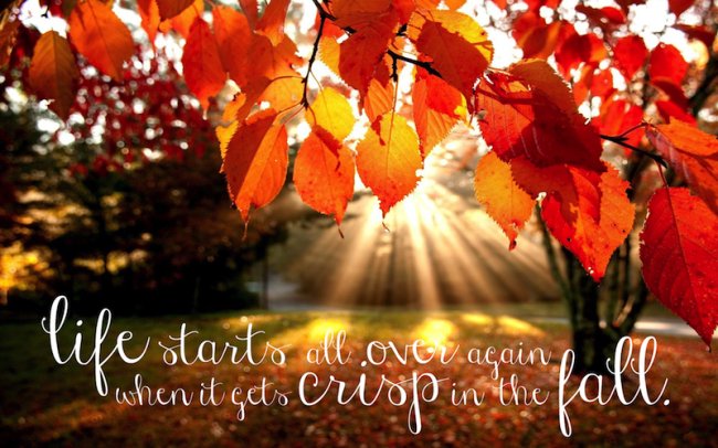 ReedSafes's tweet photo. Happy First Day of Fall 🍂 https://t.co/YLaoRGHX4v