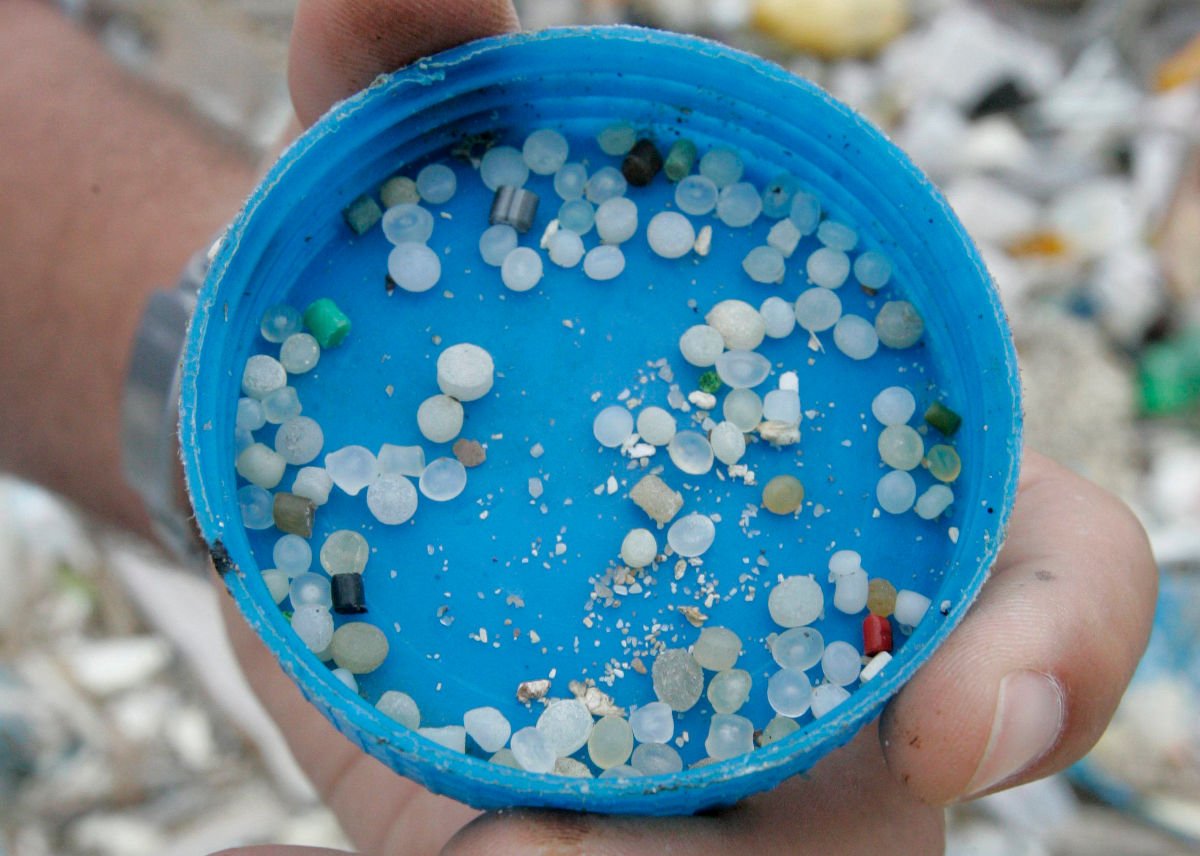 EFEverde's tweet photo. .@IEOoceanografia: Uno de cada 6 peces en España contiene microplásticos en estómago https://t.co/hM8qRPhyRE vía @EFEverde (Foto de archivo) https://t.co/qCOHJZv9qm