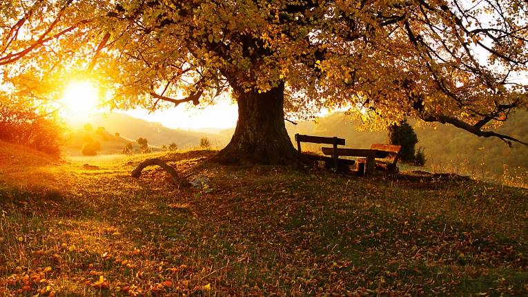 gianafer's tweet photo. Caen hojas de amor en otoño https://t.co/nKfkZ81MN0
