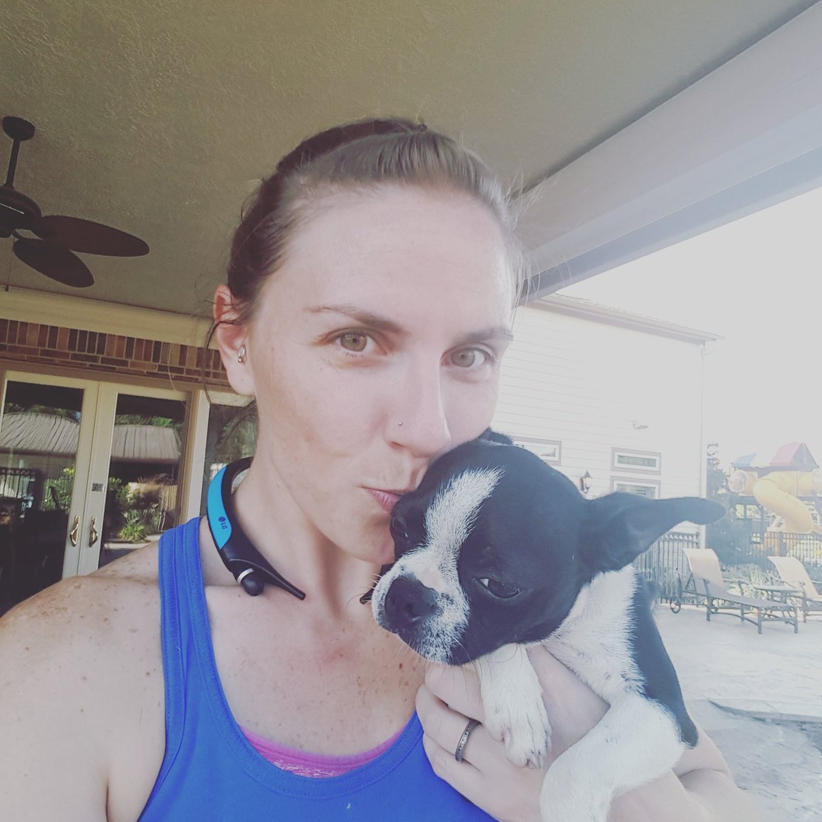 HMPSALON's tweet image. #theheathersmobilepetsalon #bostonterrier #puppylove #wiggleworm #spaday #ilovemyjob