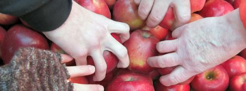 ocuir's tweet photo. September is #HungerActionMonth! Resources for helping fight food insecurity with your church: https://t.co/2ZSAbgxAZC https://t.co/JzpZ0yNrVB