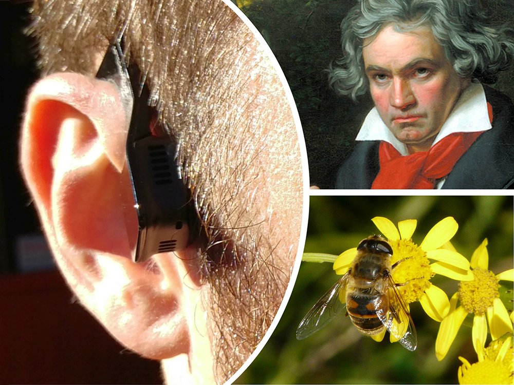 How did Beethoven compose #music if he was #deaf ? Discover this (and much more) in our latest article!

bit.ly/2dciV6H