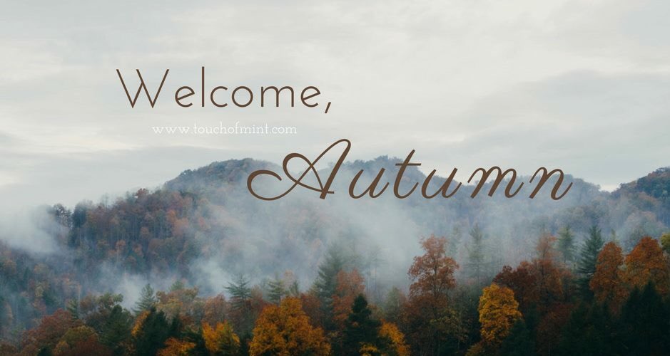 touchofmint_'s tweet photo. Bienvenido #otoño ❤️🍂🍁🐿 https://t.co/wEYKXA0Hah