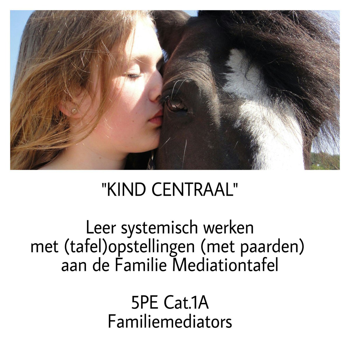 DannyNehm's tweet image. PE training voor Familiemediators