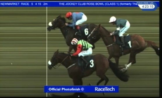 inahoofbeat1's tweet photo. #Seamour #JusticeBelle photo at Newmarket.
FairPlay to the winner, she was very brave from the front. https://t.co/VG4SfO0iYS