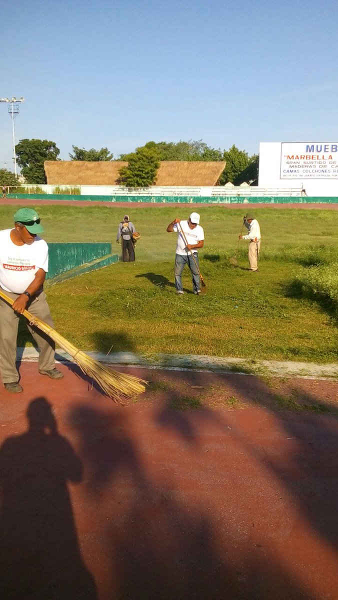 ServiciosPubSOL's tweet photo. Podado y limpieza de áreas verdes de la pista de patinaje del poliforum @rafa_castro2 @NoelCrespoPlaya @AytoSolidaridad @Deportes_Sol https://t.co/ol0NBIitgU