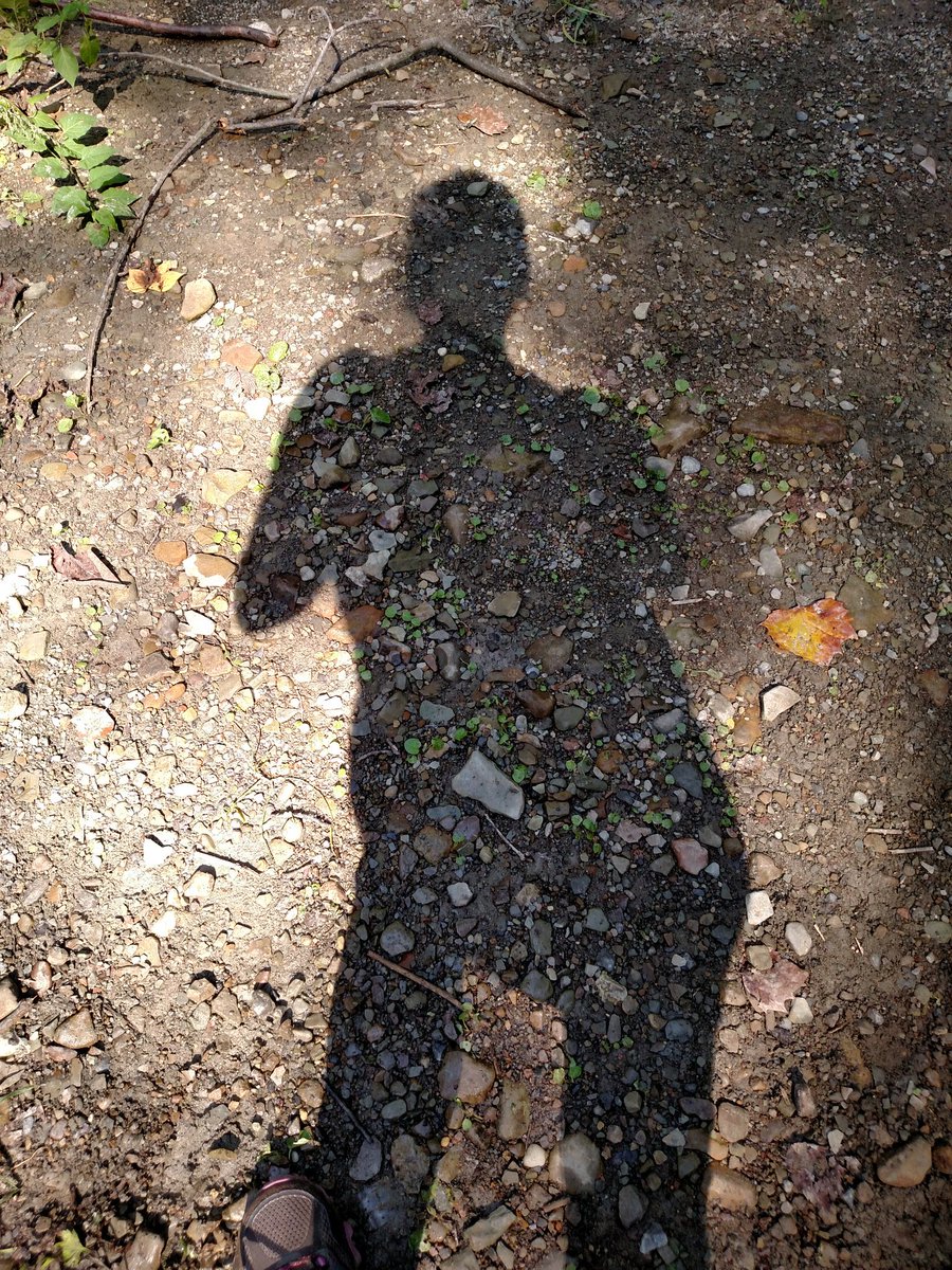 6thMathMemorial's tweet image. Hiking Hiram with Mrs. Yerse😃