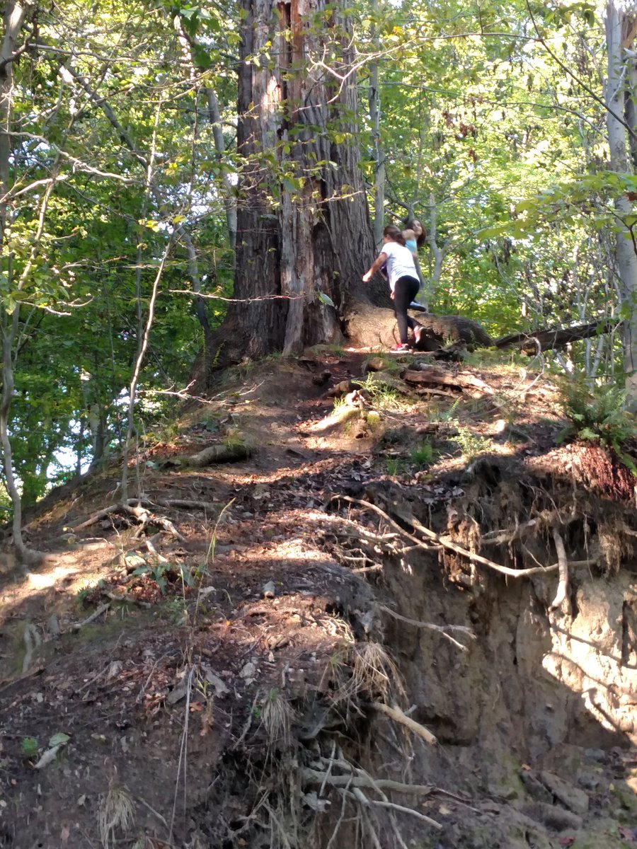 6thMathMemorial's tweet image. 