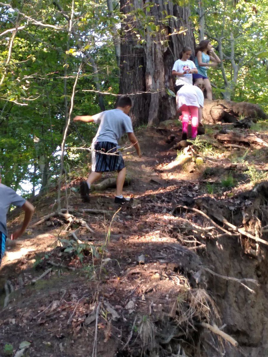 6thMathMemorial's tweet image. 