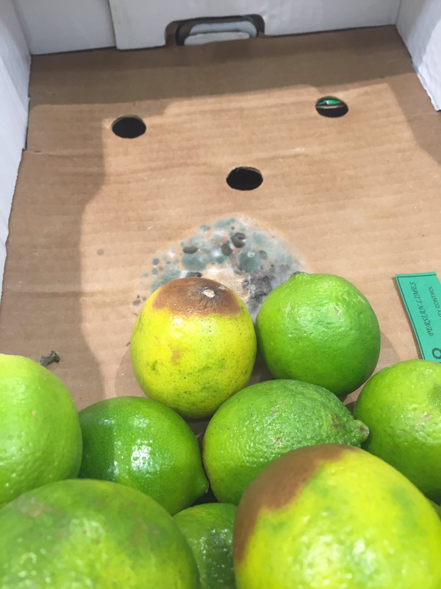 robynd23's tweet photo. Buy your fresh fruit and veg at @LidlUK they say... 😷 #nothanks #mouldy https://t.co/EoqgvyqH0J