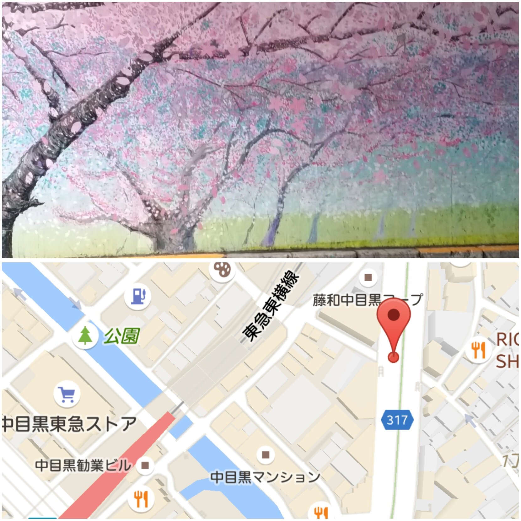 はち 桜の壁画がある高架下w にぃ散歩 中目黒 Yesung T Co 0oozzntz8p Twitter