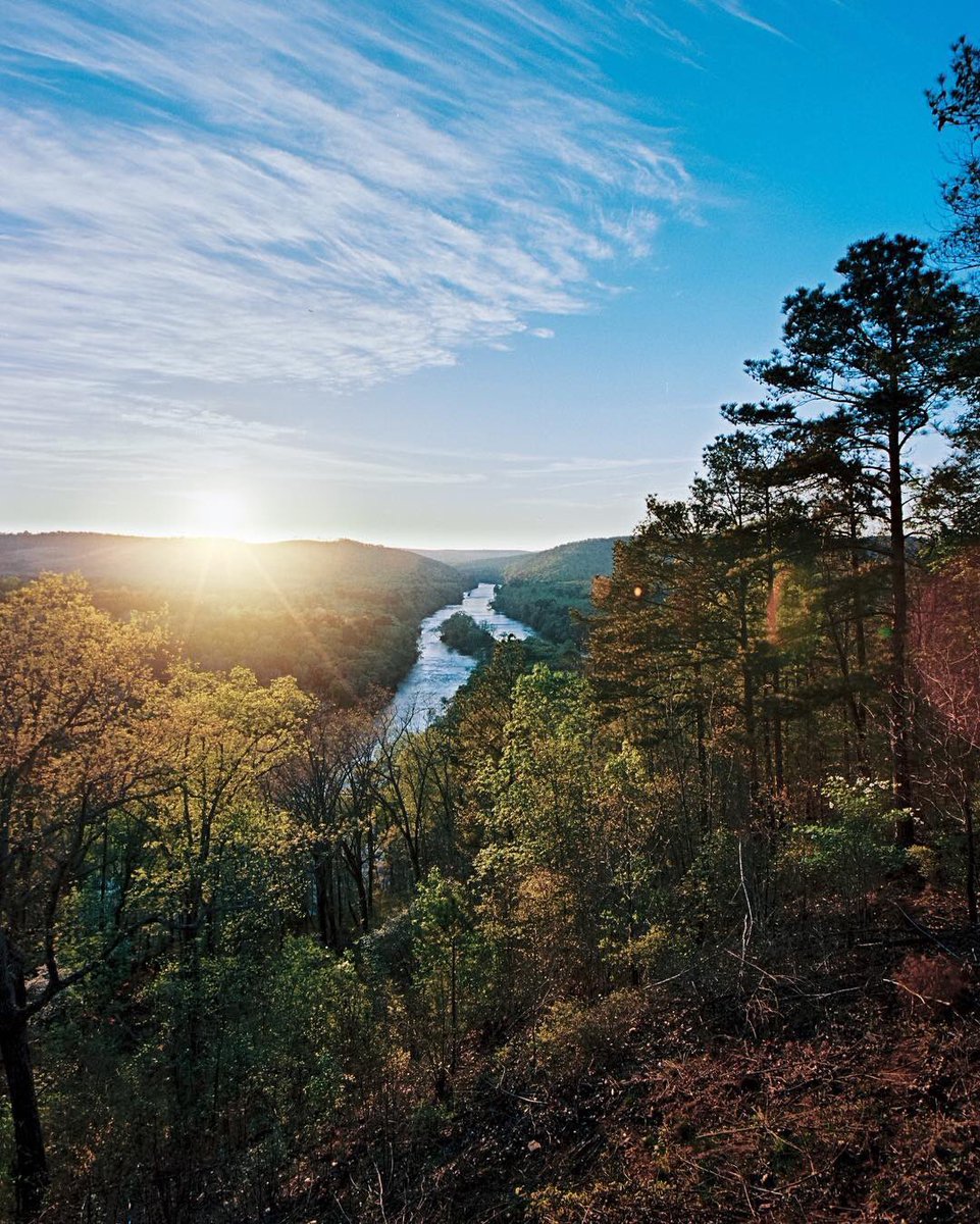 GAFollowers's tweet image. Georgia leaves turn yellow from green. The first day of fall is here! 🍁🍂🍃