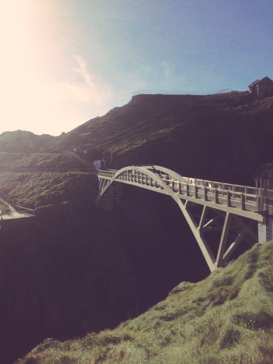 Tourism Ireland GB tweet media