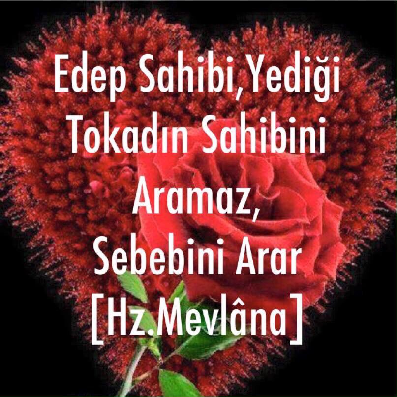 EnguzelHadis's tweet photo. Edep Sahibi,Yediği Tokadın Sahibini Aramaz,
Sebebini Arar
[Hz.Mevlâna] https://t.co/C2gmeoN5VB