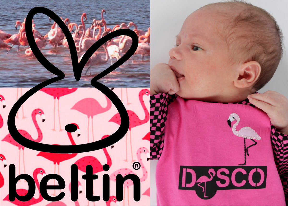 Beltin_babyclub's tweet photo. @Beltin_babyclub https://t.co/jgitAdEeZW #modabebe #modaoriginal #modabeltin #km0 #modasostenible #madeinbarcelona https://t.co/V7rfk76vED
