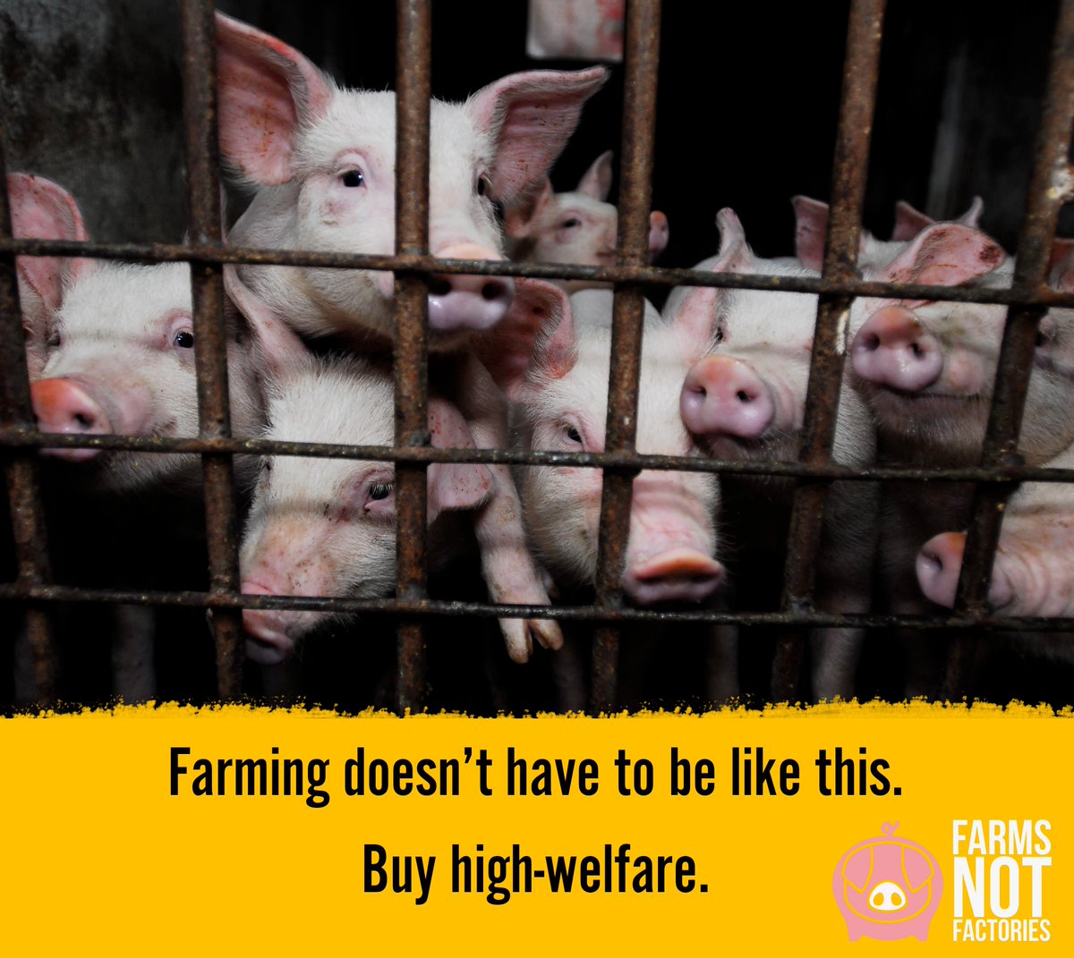 Farms Not Factories tweet media