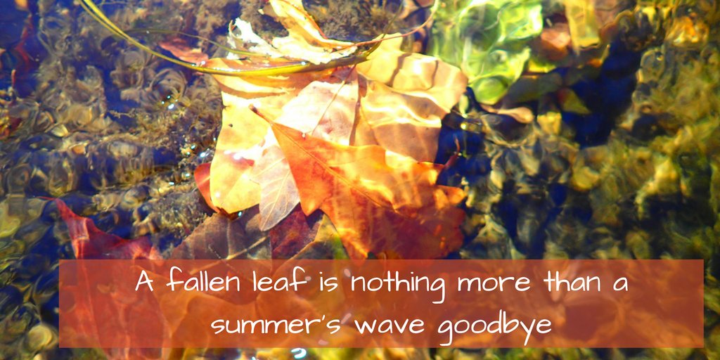 StroudCenter's tweet image. Welcome to fall! #FirstDayofAutumn #TreePlantingSeason