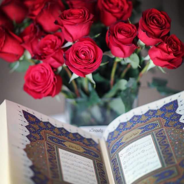 ✿تعلیم القرآن✿ tweet media