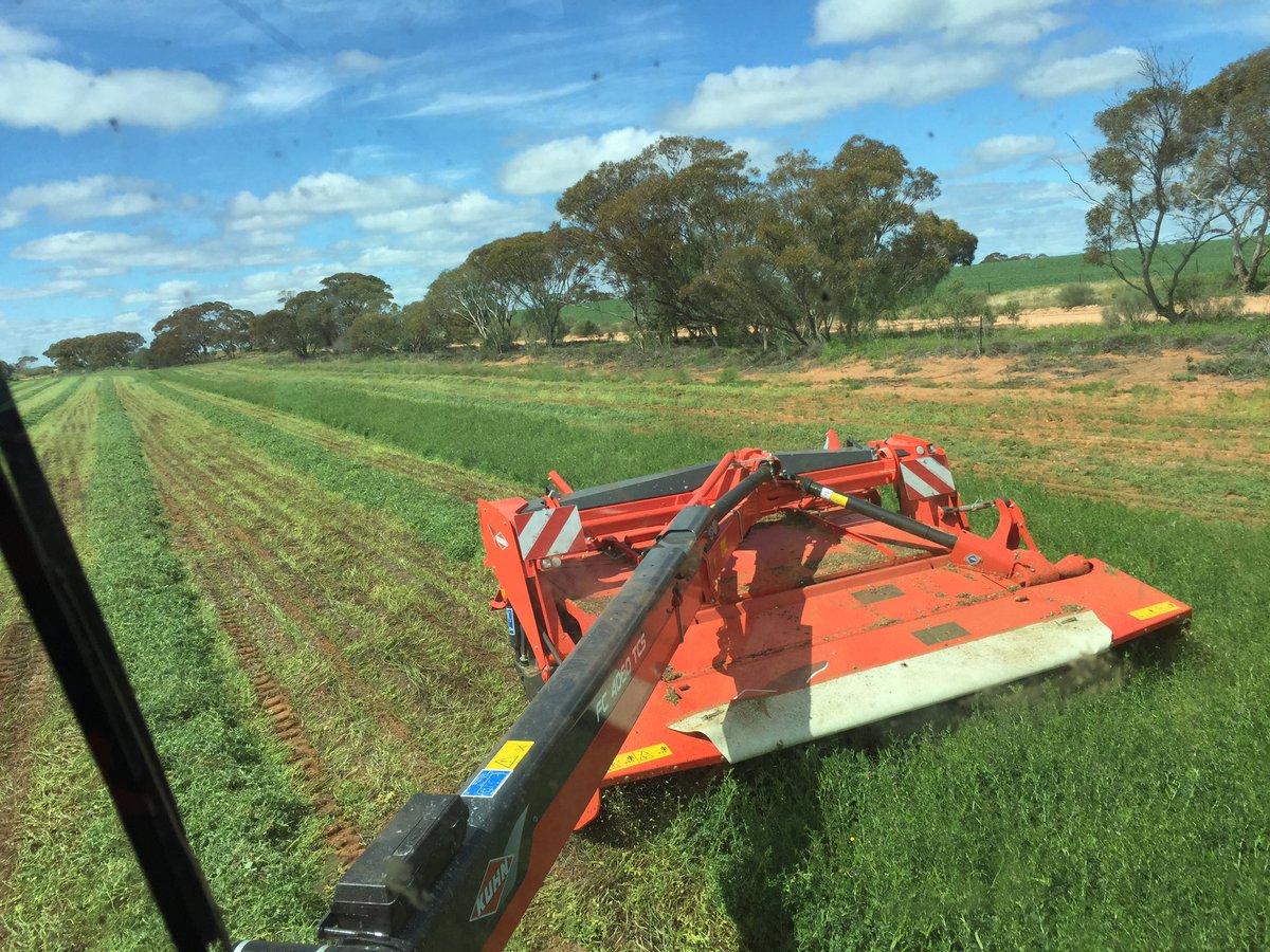 ocallaghan_adam's tweet photo. Appreciating big machinery after a few days on 13ft mower/conditioner! #vetch hay #Kuhn https://t.co/ZwuXxalX4Y