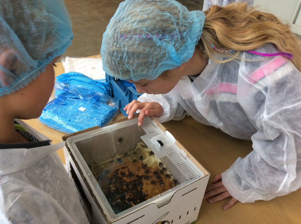 Kinderen uit Leeuwarden op bezoek bij Kwekerij It Wiid <a href="/Empatec/">Empatec</a>. Zo maken ze kennis met eten uit eigen buurt via <a href="/LWDsmaakstad/">LWD Smaakstad</a>.