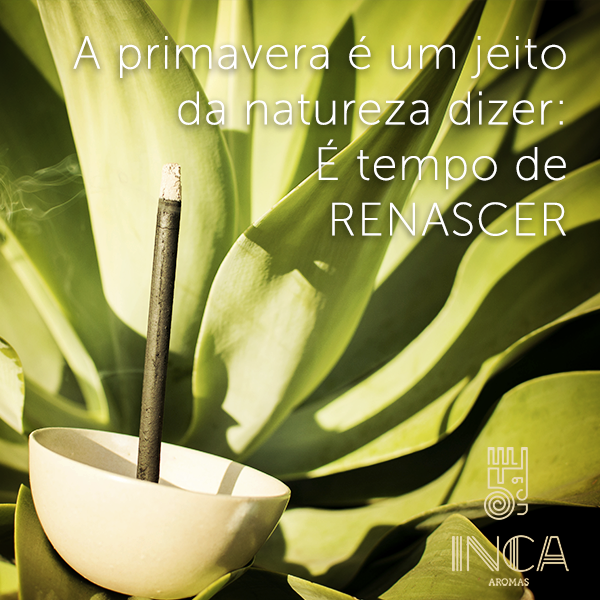 incaaromas's tweet photo. https://t.co/PNnRwOyz07 https://t.co/922tgnnpgc