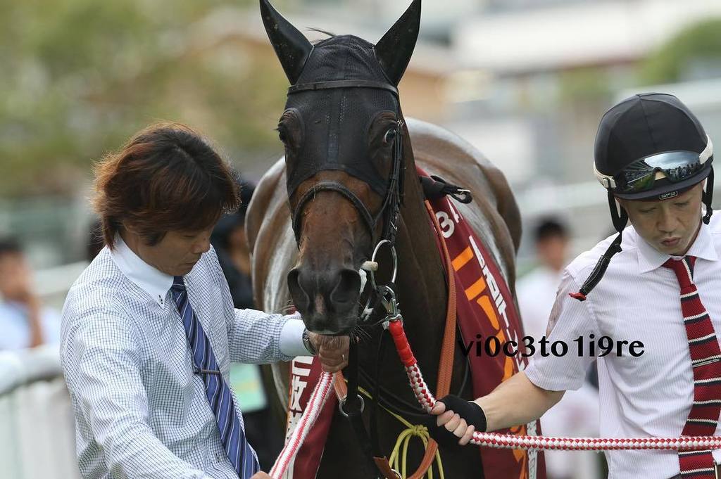vi0c3to1i9re's tweet photo. 2016ローズS表彰式 シンハライト
#シンハライト #sinhalite #ローズS
#阪神競馬場 https://t.co/mq3t0jMyLt