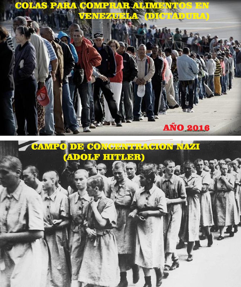 Iván José tweet media