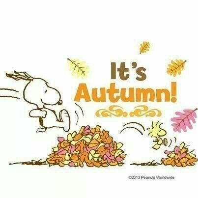 Happy Fall 😊🍃🍂#lulubeangifts #bubbarose #doggifts #bestfriends #snoopy #dogsoftwitter #ilovedogs #dogs #dogpackages