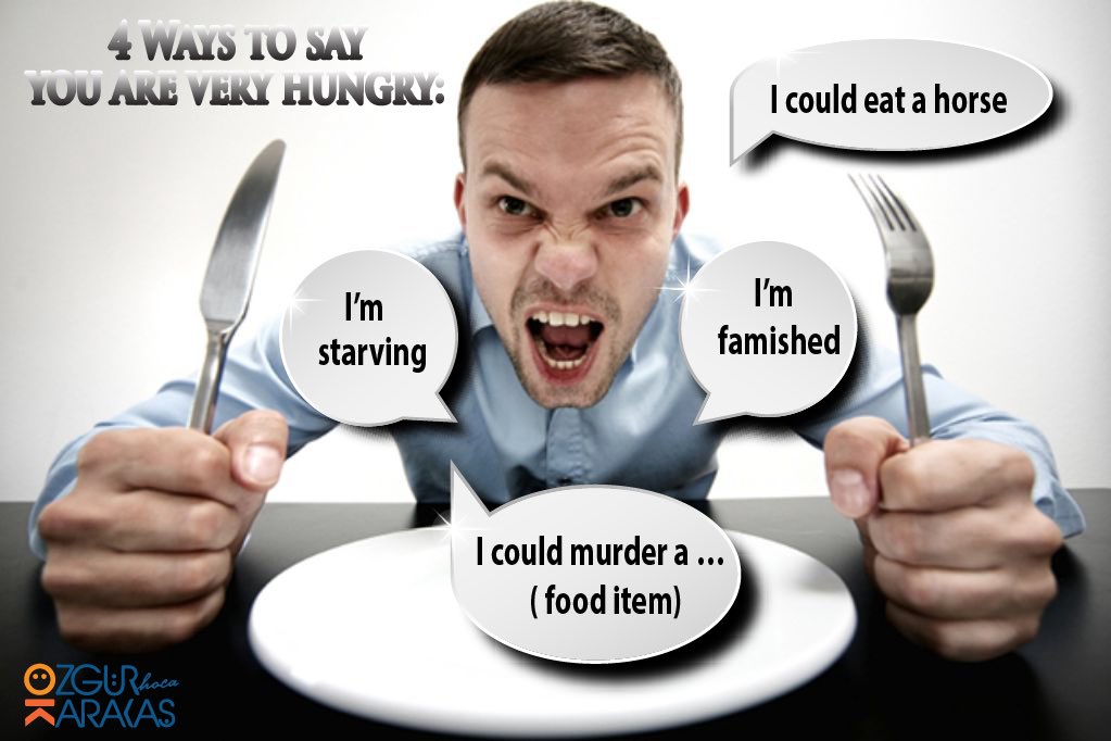 OzgurKhoca's tweet photo. 4 Ways to say you are very hungry #ozgurkarakashoca #yds #ydsonline #eyds #ingilizcehazirlik #englishlearning #onlineegitim #eegitim https://t.co/rMa6wTo3hS