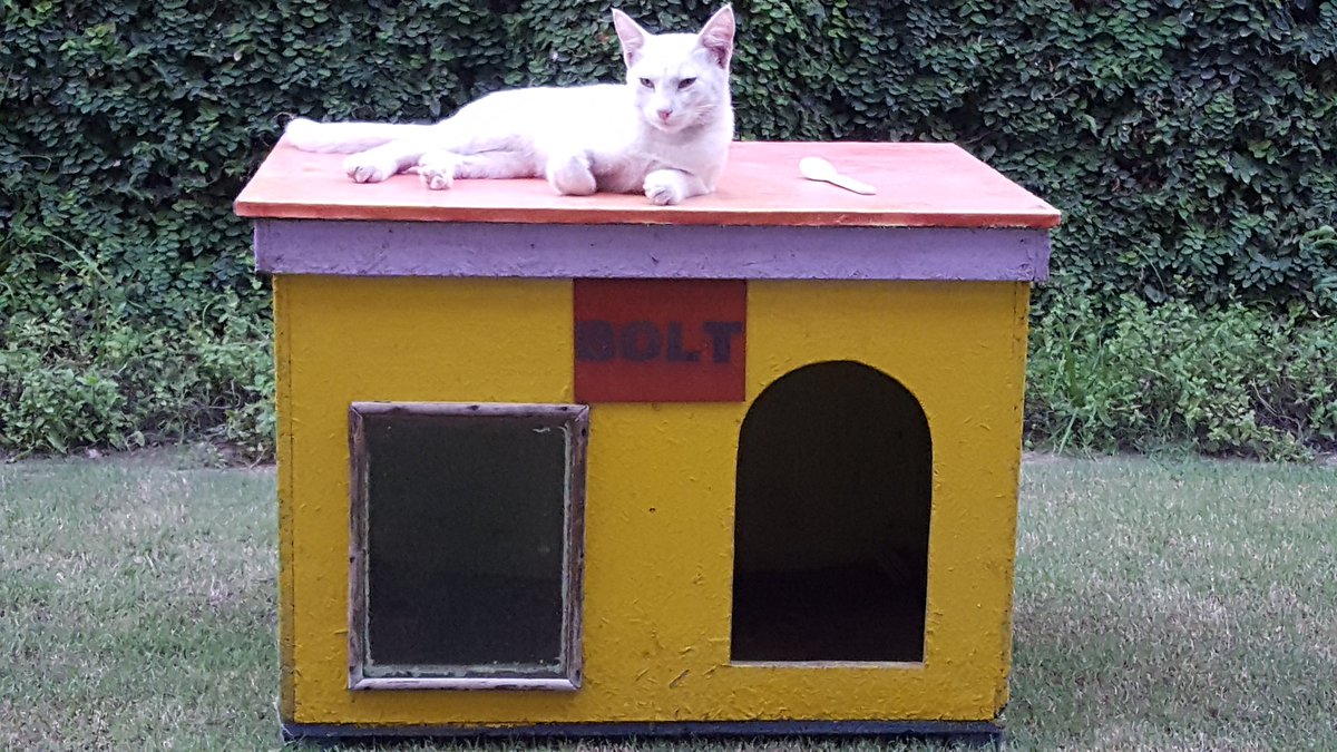 Ahsan Raza tweet media