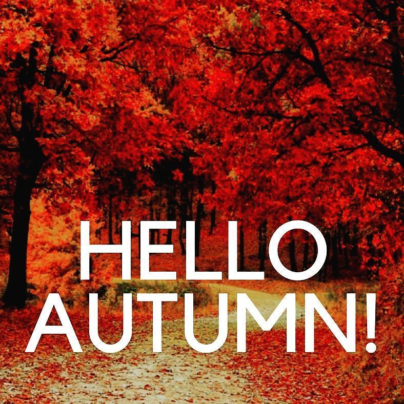 debbiedooodah's tweet photo. It's #thefirstdayofautumn!

I love this time of year. You still get the warmth of the sun, everything starts turnin… https://t.co/27MJ09asdX