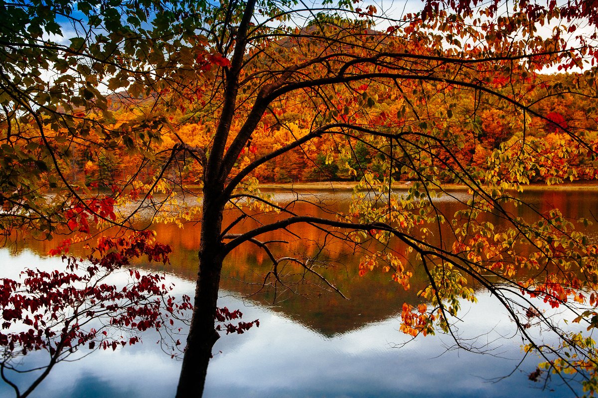 Happy first day of #fall! We can't wait for the gorgeous fall colors in Virginia's Blue Ridge!