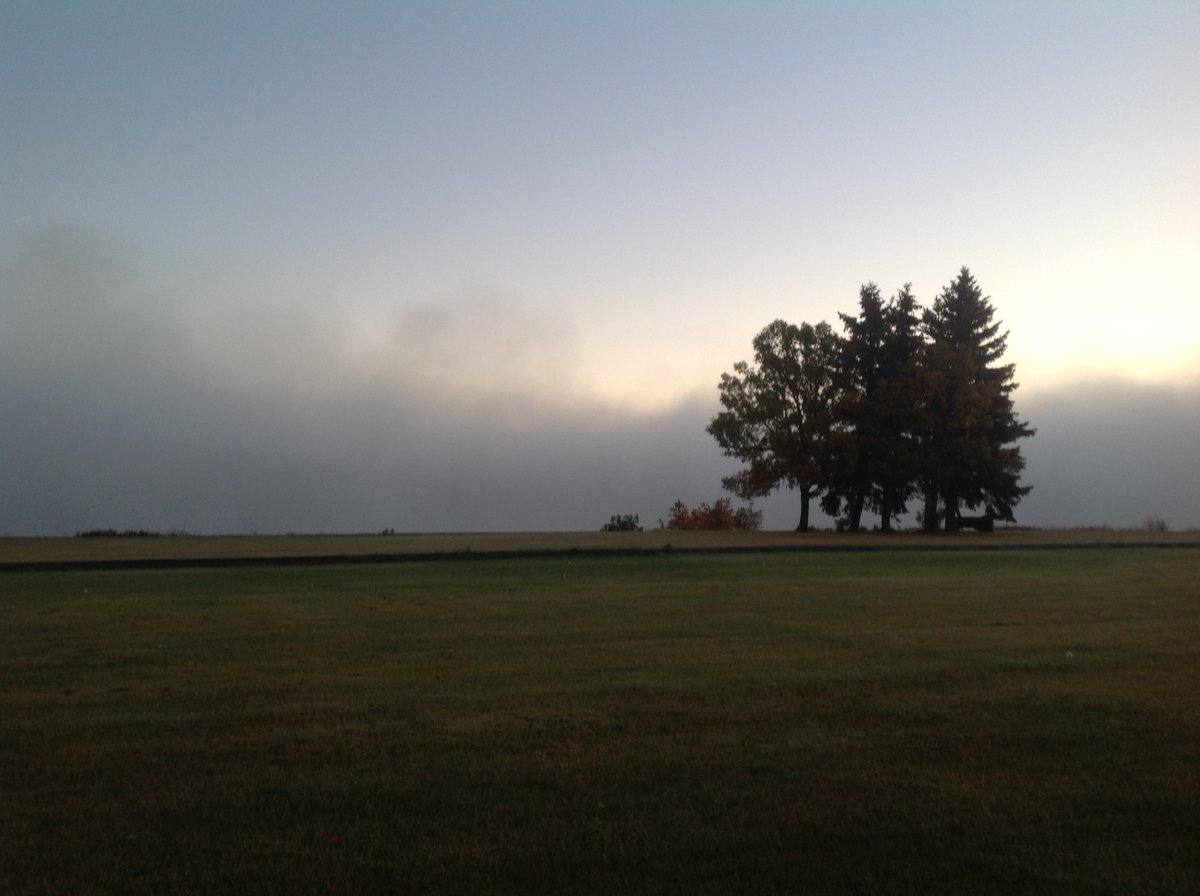 philparr's tweet photo. Fog on the riverbank outside my home in PA this morning. https://t.co/pMtySA7siv