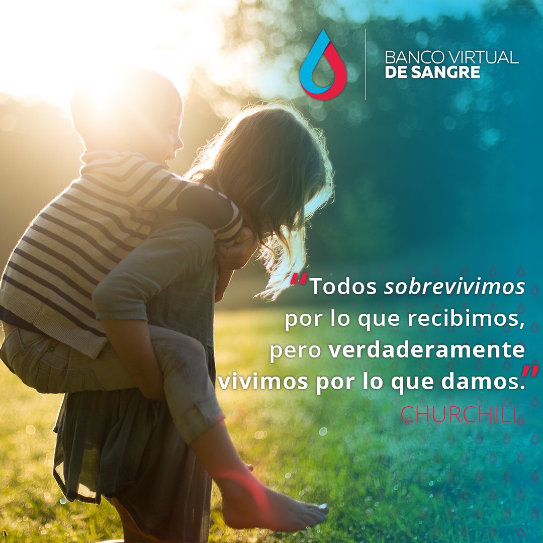 BancoVirtualdeSangre tweet media