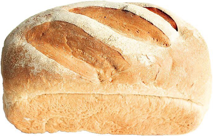 breaddailyposts's tweet photo. https://t.co/12oei6wpVa