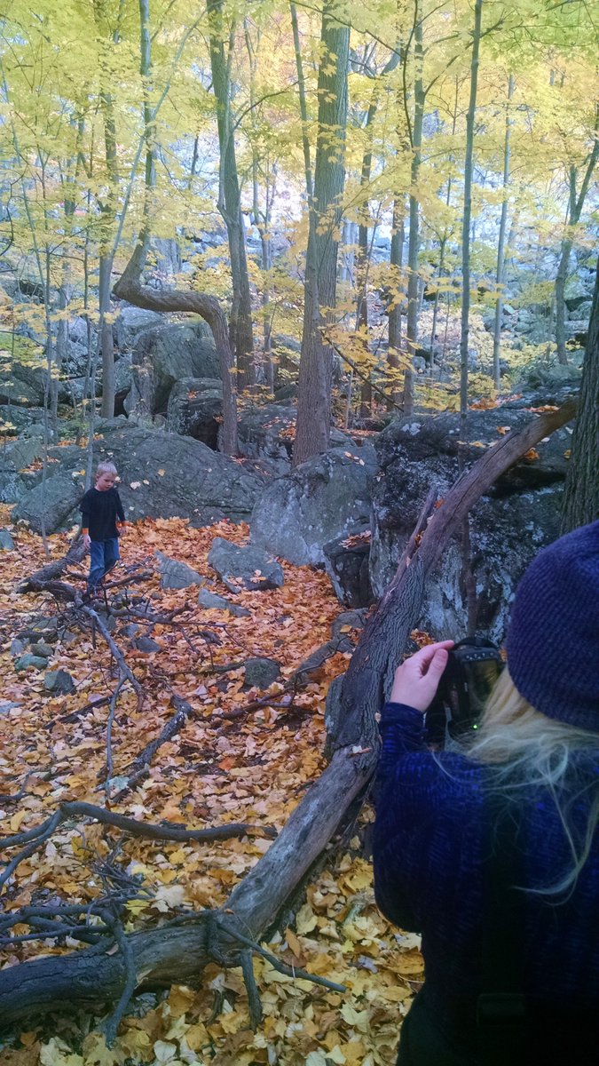 jamieszapka's tweet photo. #TBT to last year hiking #StairwayToHeaven surrounded by the #beautiful #fall #colors! I'm ready for this! #Happy #FirstDayofFall! https://t.co/r3YCfjW9l0