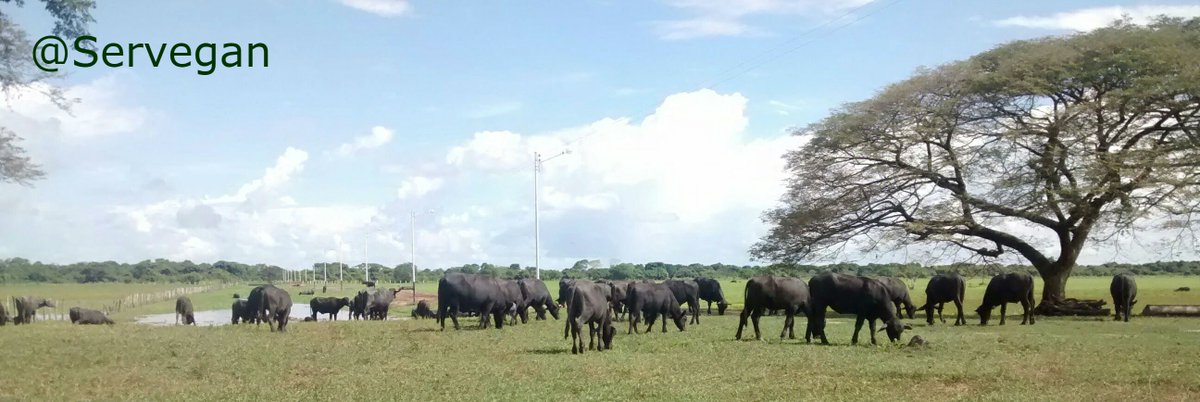 Inversión, trabajo, biotecnología y protección al productor agropecuario serán los únicos caminos viables y sustentables de salir adelante