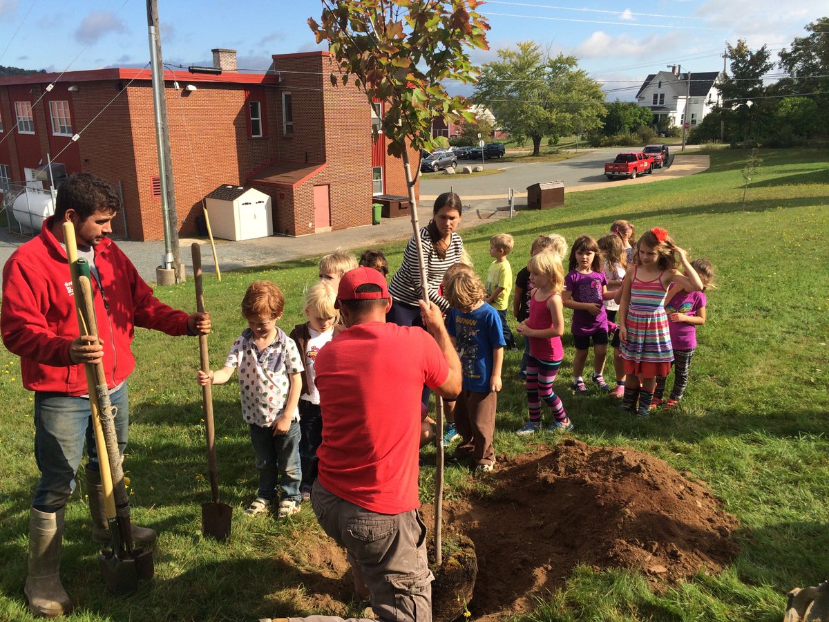 We were busy yesterday <a href="/TownOfWolfville/">Wolfville</a> &amp; Gaspereau Elementary School honouring #NationalTreeDay! #NTD2016 <a href="/TreeCanada/">Tree Canada</a> <a href="/CNLA_ACPP/">CNLA-ACPP</a> @avrsb