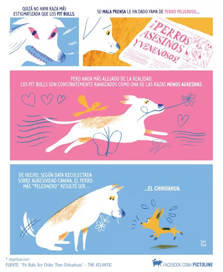 Proyecto4Patas's tweet photo. Los Pit Bulls son una de las razas que estan mas expuestas a los peores actos de violencia sobre perros. https://t.co/gleVoINM2p