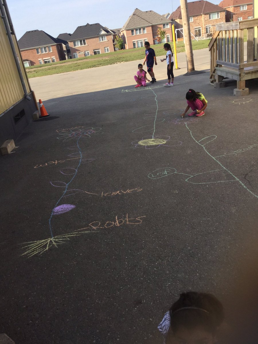 mrscookesclass3's tweet photo. Making labelled diagrams of the major parts of plants @EldoradoPDSB #3a2016 on a beautiful sunny day outside https://t.co/ZqZ0bB7Wl6