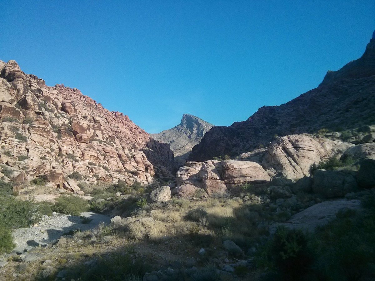 HebrewRunner's tweet image. Missing these trails :-/