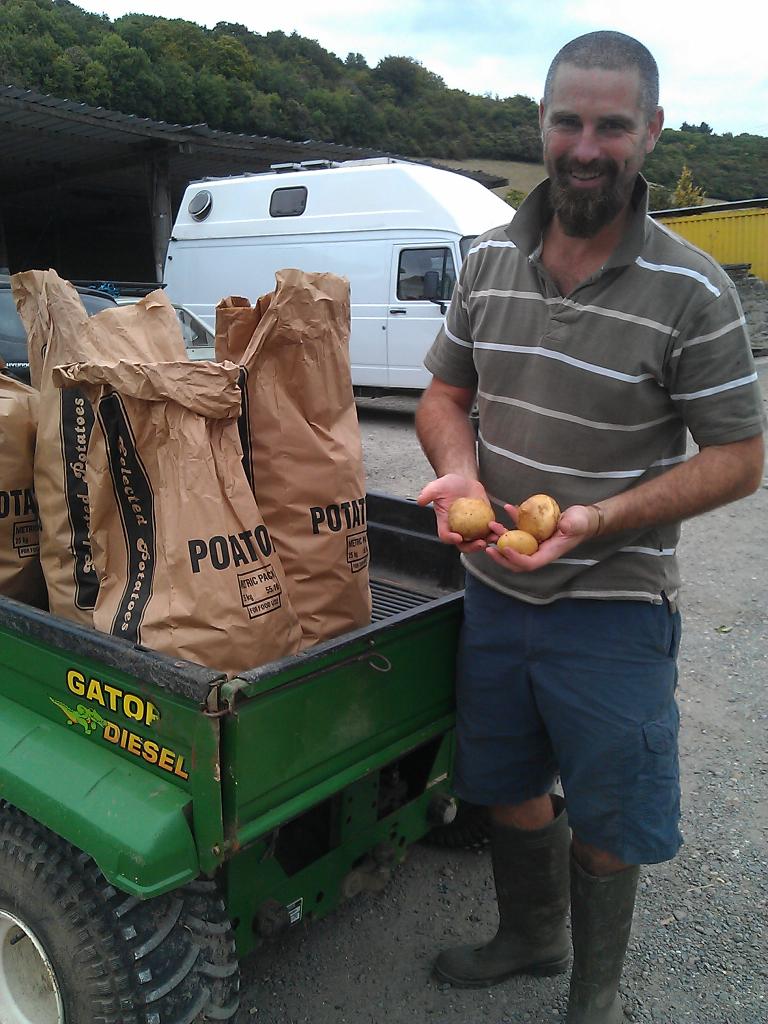Spuds grown at Court Fm with the help of pupils from Holy Trinity School, Dartford - for sale in <a href="/Ct_FarmButchers/">CourtFarmInKent shop</a>