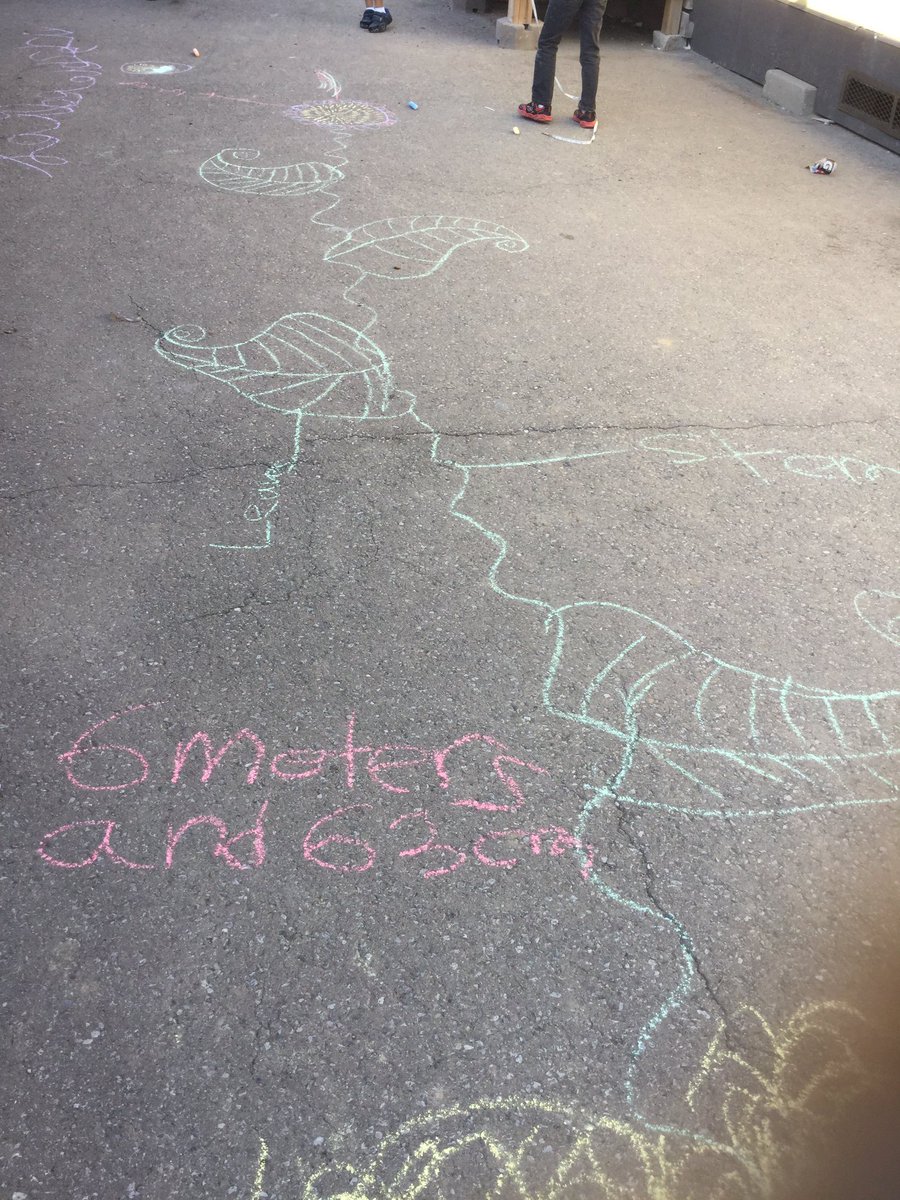 mrscookesclass3's tweet photo. Our labelled plant diagram is 6 metres and 63 cm @EldoradoPDSB #3a2016 https://t.co/Ku0n3bhN3p