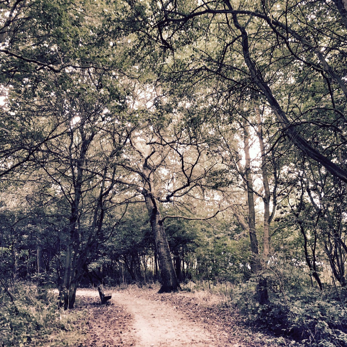 De herfst komt eraan #Heiloo